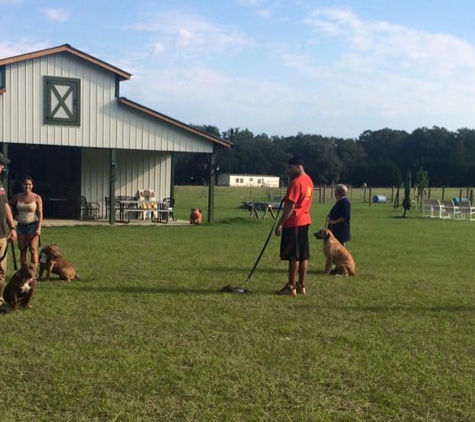 k-9 Concepts - Pelham, GA