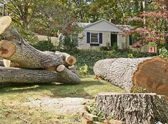 Express Tree Service