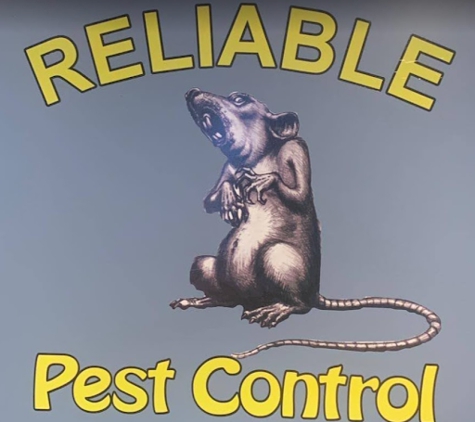 Reliable Termite and Pest Control