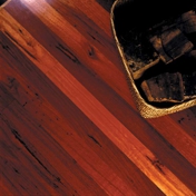 Gallery Image Number 7
