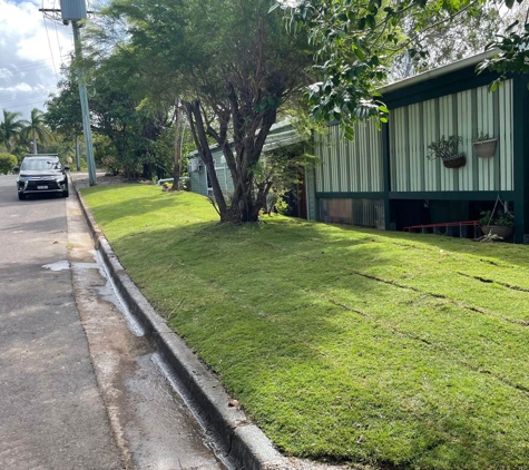 Speedline Tree Surgery