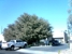 Schiller Heating & Cooling - Heating Contractors & Specialties