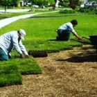 Doug Scott Lawn Maintenance