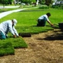 Doug Scott Lawn Maintenance