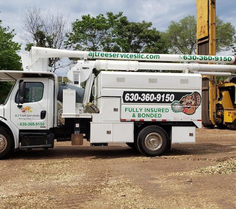 AJ's Tree Service - Montgomery, IL