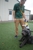 Rover Oaks Pet Resort, Houston - Pet Services