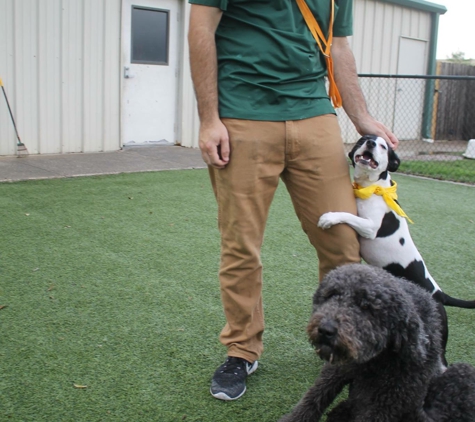 Rover Oaks Pet Resort - Houston, TX