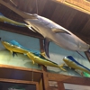 Islamorada Fish Company gallery