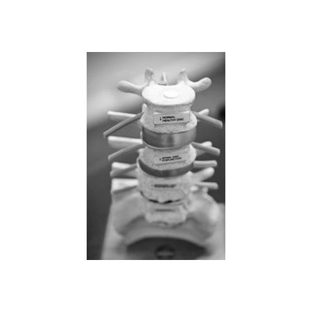 Kingston Chiropractic Centre - Kingston, TAS