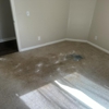 Vital Clean Carpet Cleaning gallery