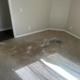 Vital Clean Carpet Cleaning