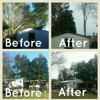 Davenport Tree Service,LLC gallery