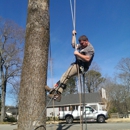 Brasher Brothers Tree Service - Tree Service