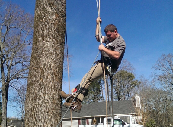 Brasher Brothers Tree Service