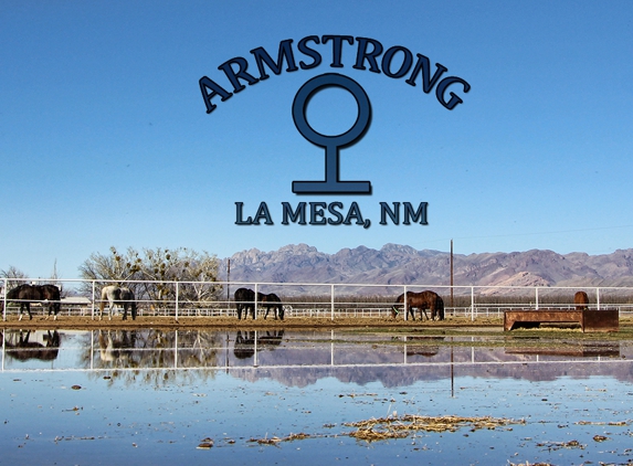 Armstrong Equine Services - La Mesa, NM