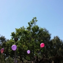 Camarillo Grove Park - Parks