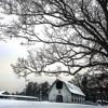 Biltmore Equestrian Ctr gallery