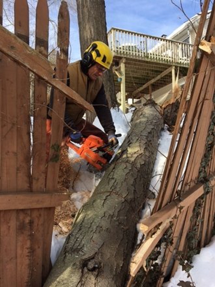White Oak Tree and Landscape - North Haven, CT. Storm Damage Tree Service