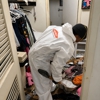 SERVPRO of North Leon County gallery