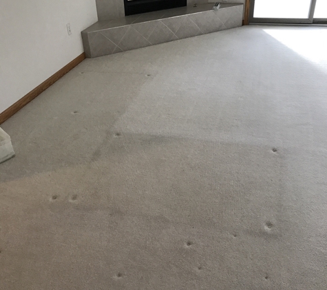 Genuine Carpet Cleaner - Saginaw, MI