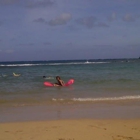 Hanauma Bay Snorkeling Excursions & Shuttle