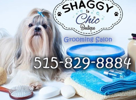 Shaggy to Chic Boutique - West Des Moines, IA