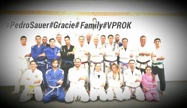 V PRO K MMA Martial Arts Academy - Davie, FL