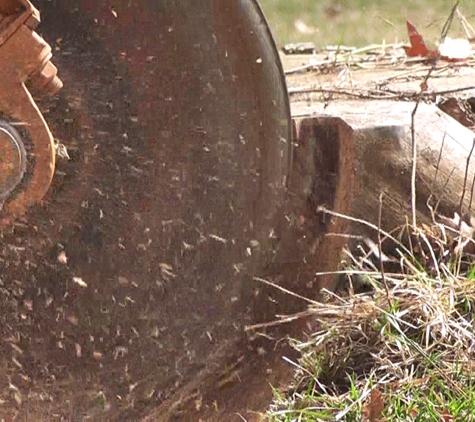 A.B.E. Stump Grinding - Swanton, OH