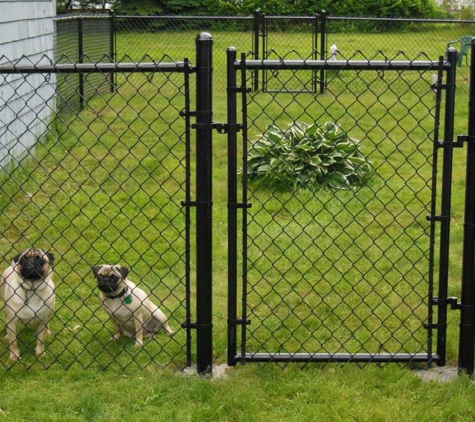 Affordable Fence Center - Orange Park, FL. residential black vinyl chain link