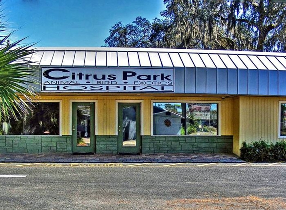 Citrus Park Animal Hospital - Tampa, FL
