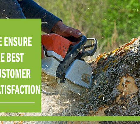 3Way Tree Services Pty Ltd - Malvern East, VIC. We ensure the best customer satisfaction.