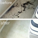 Safe-Dry Carpet Cleaning of the Woodlands - Upholstery Cleaners
