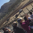 Lake Elsinore Motorsports Park