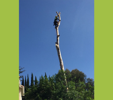 Gonzalez Brothers Tree Service