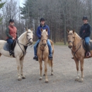Horsehaven Stables - Horse Training