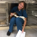 Grafton Animal Hospital - Veterinarians