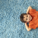 Cheap Carpet Cleaning Lancaster - Carpet & Rug Cleaners-Water Extraction