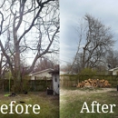 4 Seasons Tree Service - Tree Service