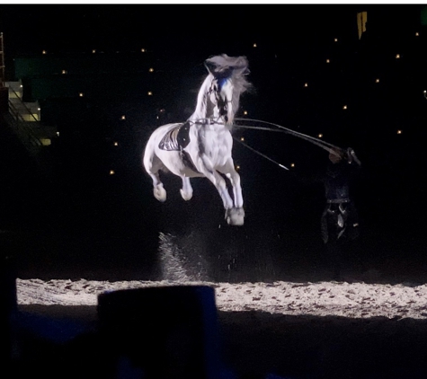 Medieval Times Dinner & Tournament - Schaumburg, IL