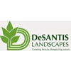 DeSantis Landscapes gallery