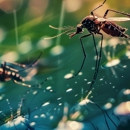 E&G Exterminators - Pest Control Equipment & Supplies