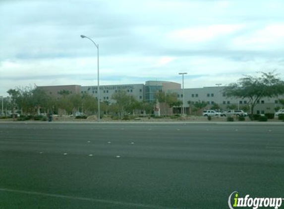 Spring Valley Hospital Medical Center Emergency Room - Las Vegas, NV