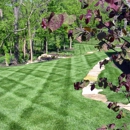 Augusta Lawns LLC - Fertilizing Services