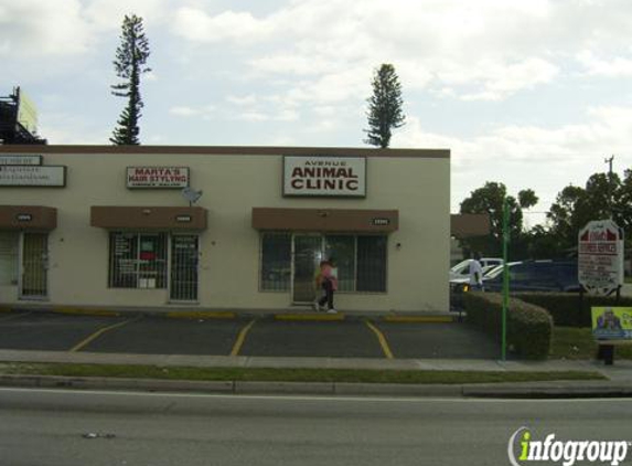 Avenue Animal Clinic - North Miami, FL