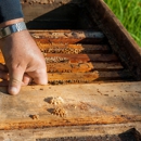 Gillson Pest Control - Pest Control Equipment & Supplies