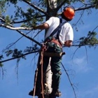 RR Banuelos Tree Service