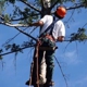 RR Banuelos Tree Service