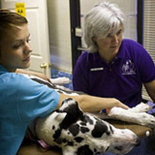 Animal Medical Clinic - Fayetteville, AR