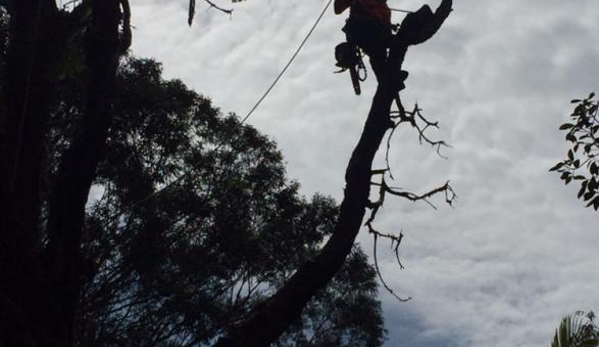 Chris Hacket - Ballina, NSW