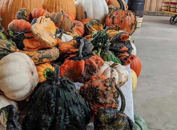 Ten Eyck Orchard - Brodhead, WI